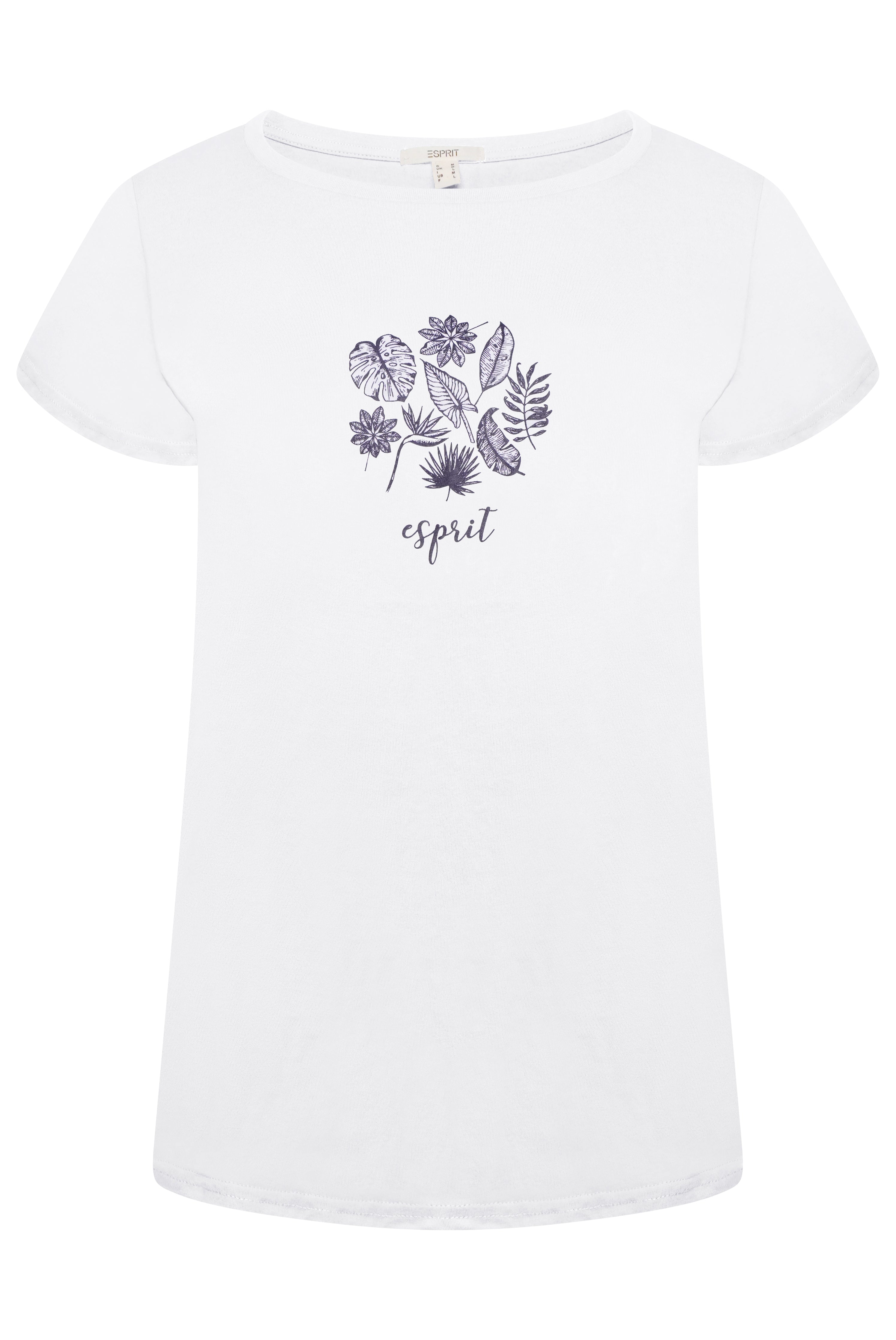 Esprit Ladies T-Shirt Pack of 3  Style 4 RRP £90